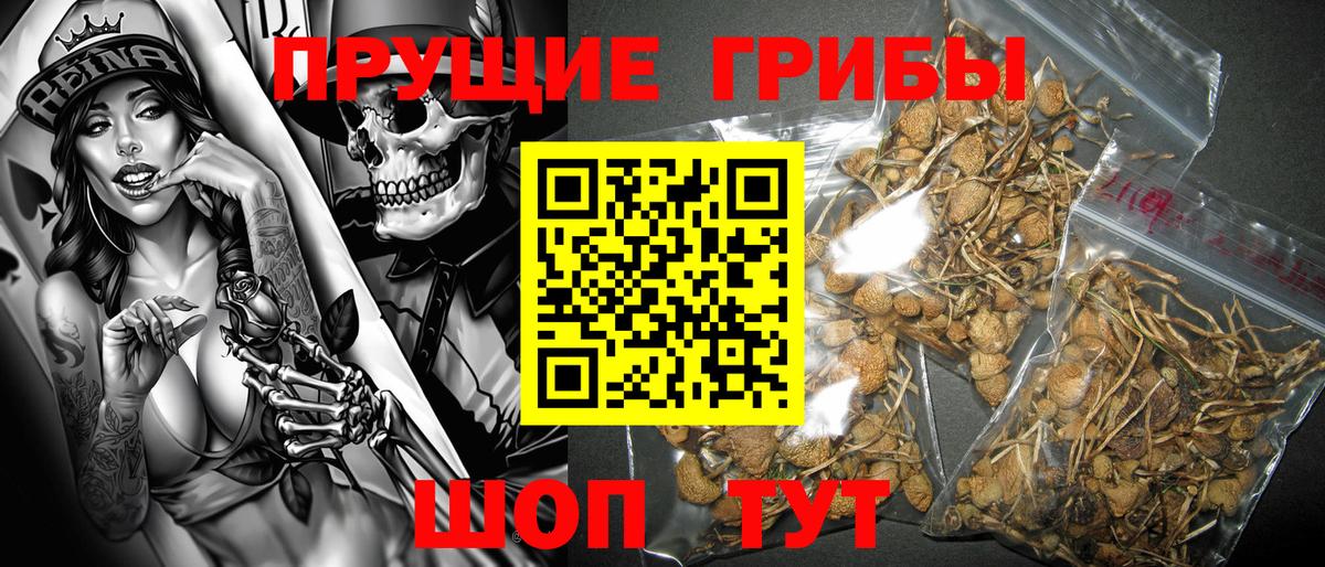 Галлюциногенные грибы мицелий Елизово